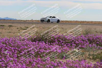 media/Jan-08-2023-SCCA SD (Sun) [[8f6a5b9391]]/Advanced Group/Session 2 (Short Straight)/